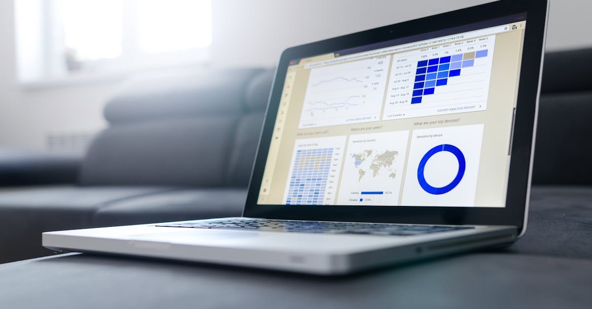 SEO analytics dashboard showing charts and audit metrics