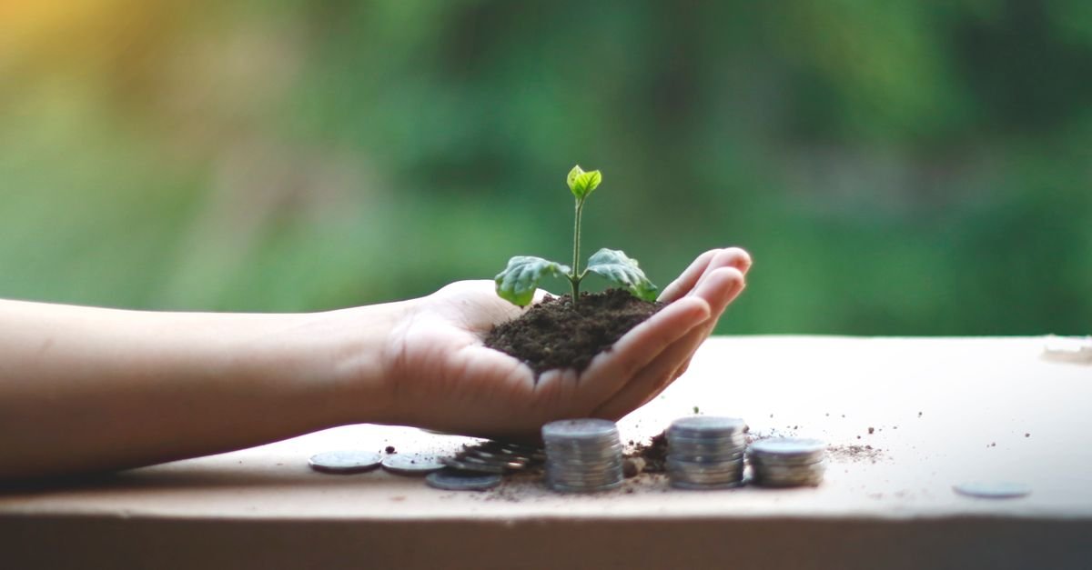 Coins and a growing plant representing compound interest